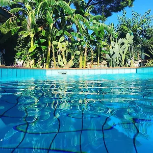 https://oasi-del-gabbiano.sicilyhotelsitaly.net
