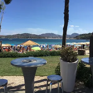 book here